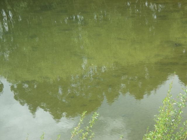 Name:  picture 01 1871.jpg
Views: 273
Size:  164.6 KB