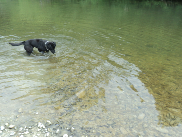 Name:  picture 01 1909.jpg
Views: 187
Size:  165.0 KB
