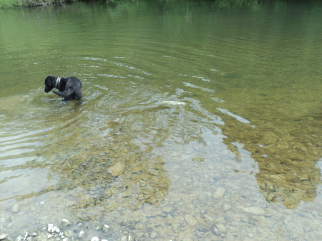 Name:  picture 01 1910.jpg
Views: 178
Size:  164.4 KB