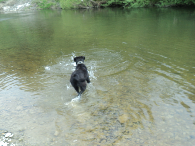 Name:  picture 01 1908.jpg
Views: 183
Size:  163.2 KB
