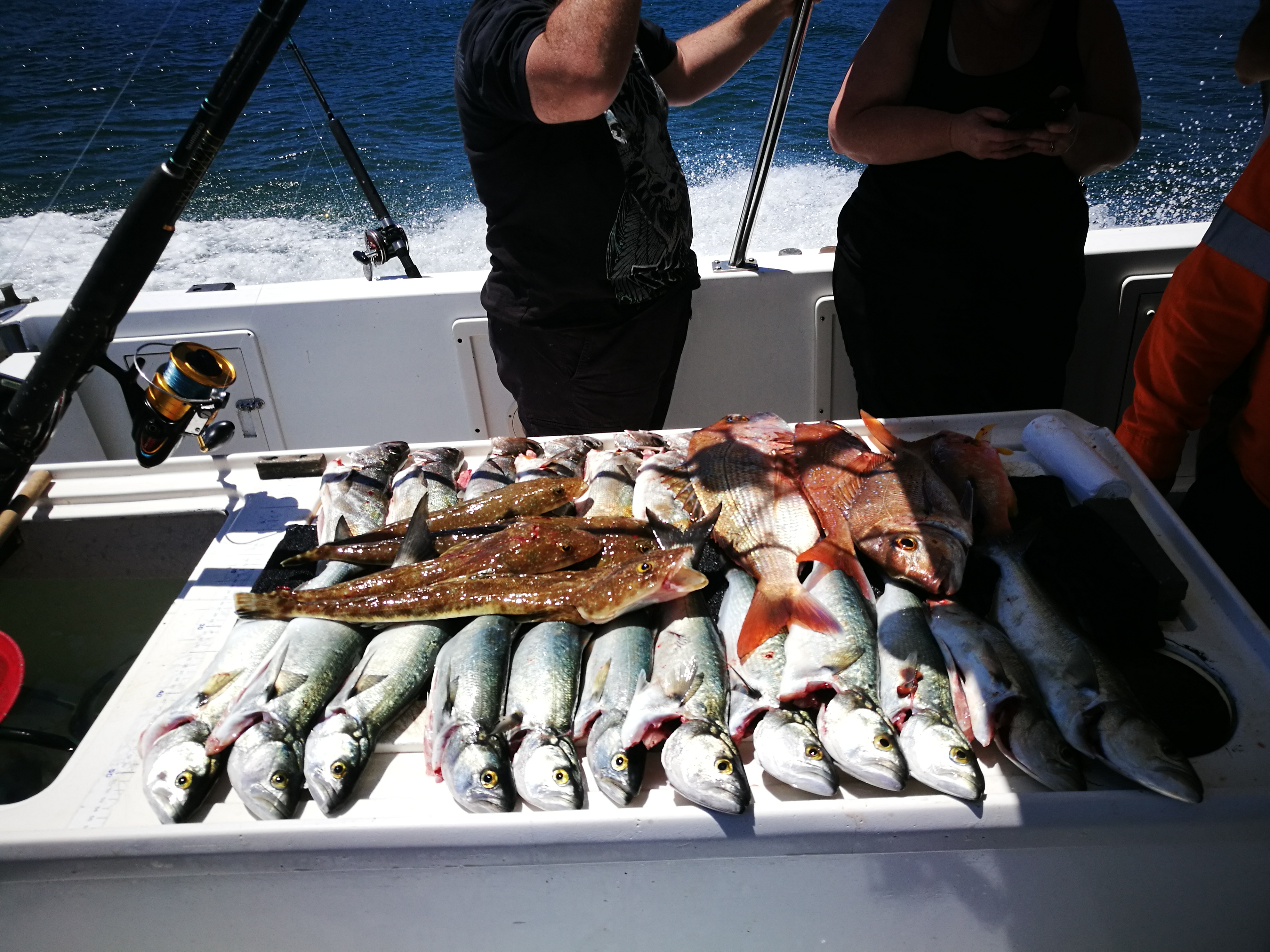 Name:  IMG_20181023_110302.jpg
Views: 614
Size:  3.60 MB
