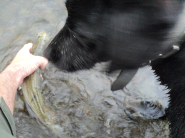 Name:  picture 01 2022.jpg
Views: 264
Size:  164.7 KB
