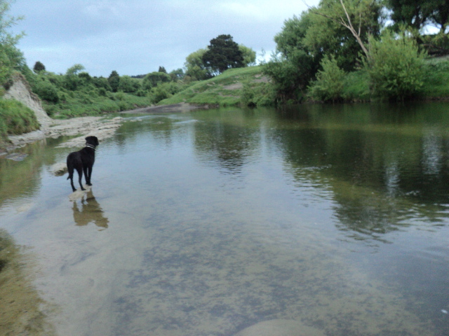 Name:  picture 01 2023.jpg
Views: 248
Size:  163.9 KB