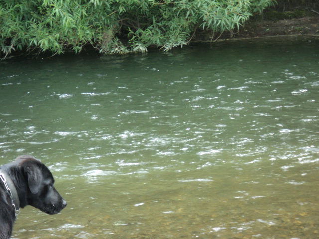 Name:  picture 01 2108.jpg
Views: 210
Size:  163.1 KB