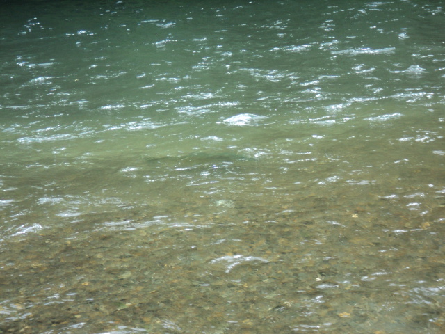 Name:  picture 01 2107.jpg
Views: 239
Size:  163.5 KB