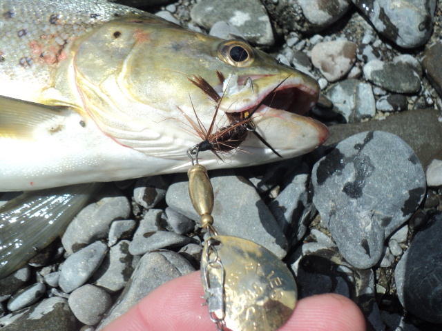 Name:  picture 01 2114.jpg
Views: 212
Size:  165.1 KB