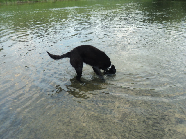 Name:  picture 01 2136.jpg
Views: 174
Size:  164.0 KB