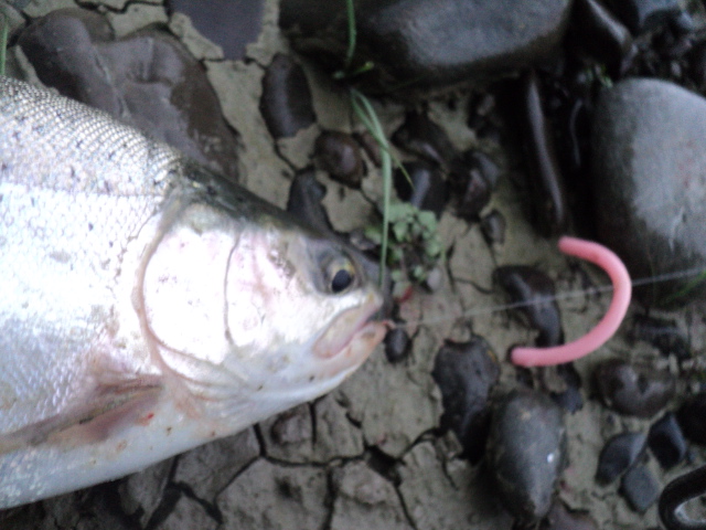 Name:  picture 01 2165.jpg
Views: 205
Size:  162.5 KB