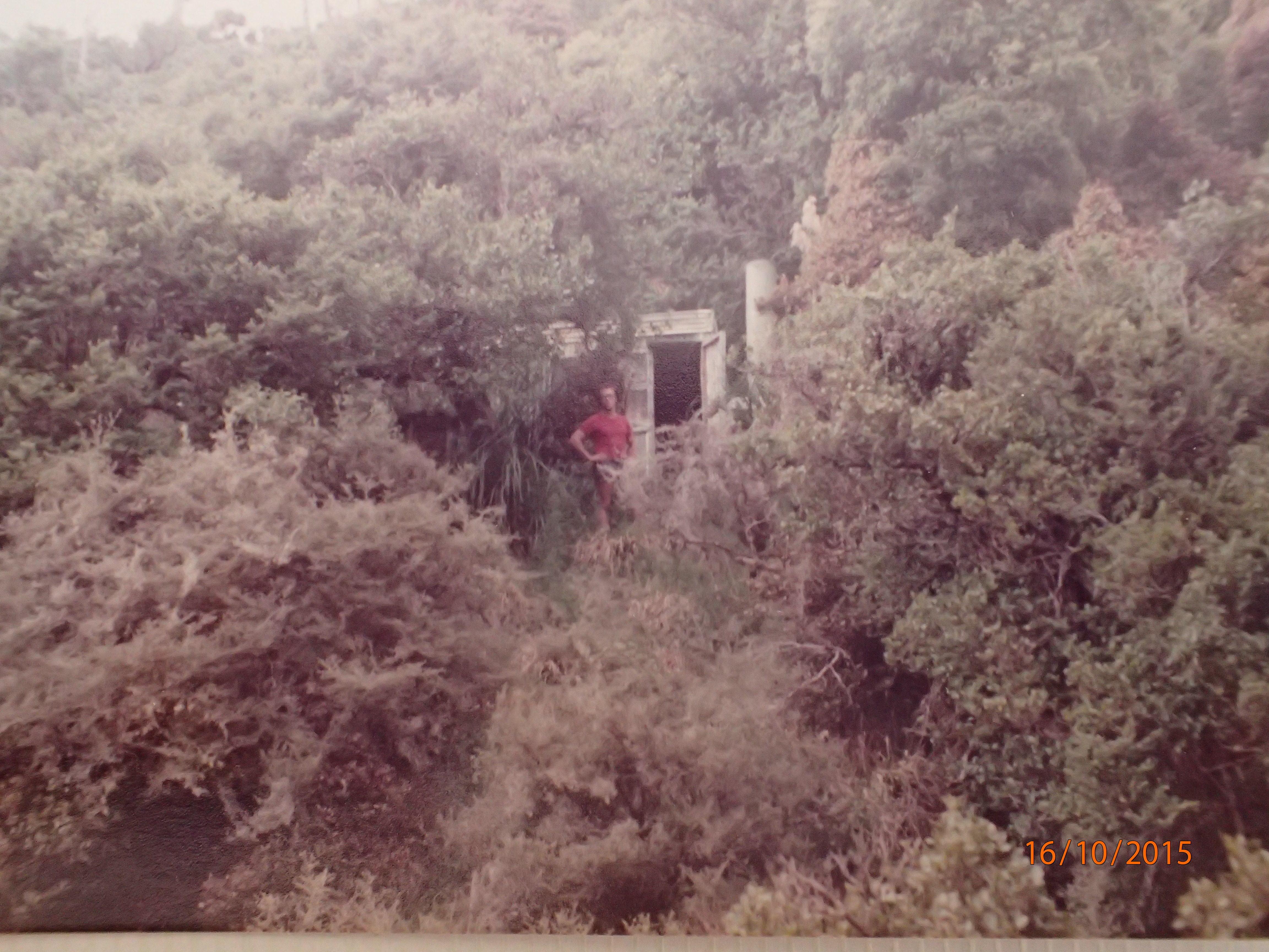 Name:  PA160003.JPG
Views: 975
Size:  3.24 MB