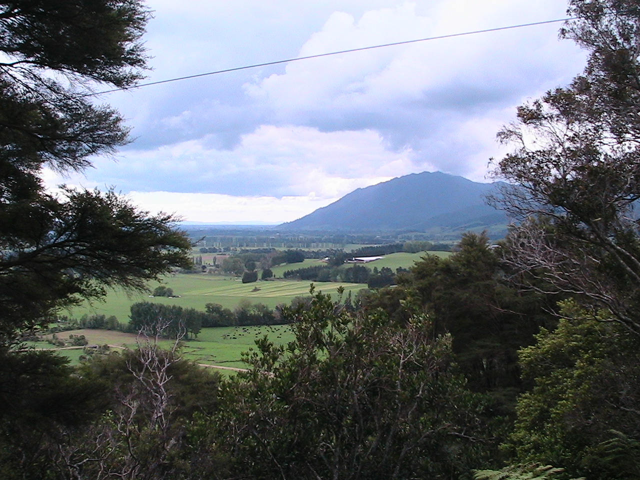 Name:  IMG_3133.JPG
Views: 541
Size:  450.5 KB