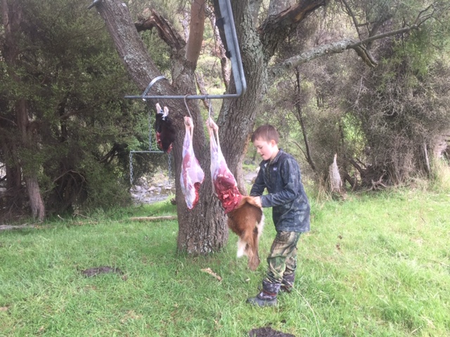 Name:  Bearsy Skinning 2.JPG
Views: 393
Size:  178.4 KB