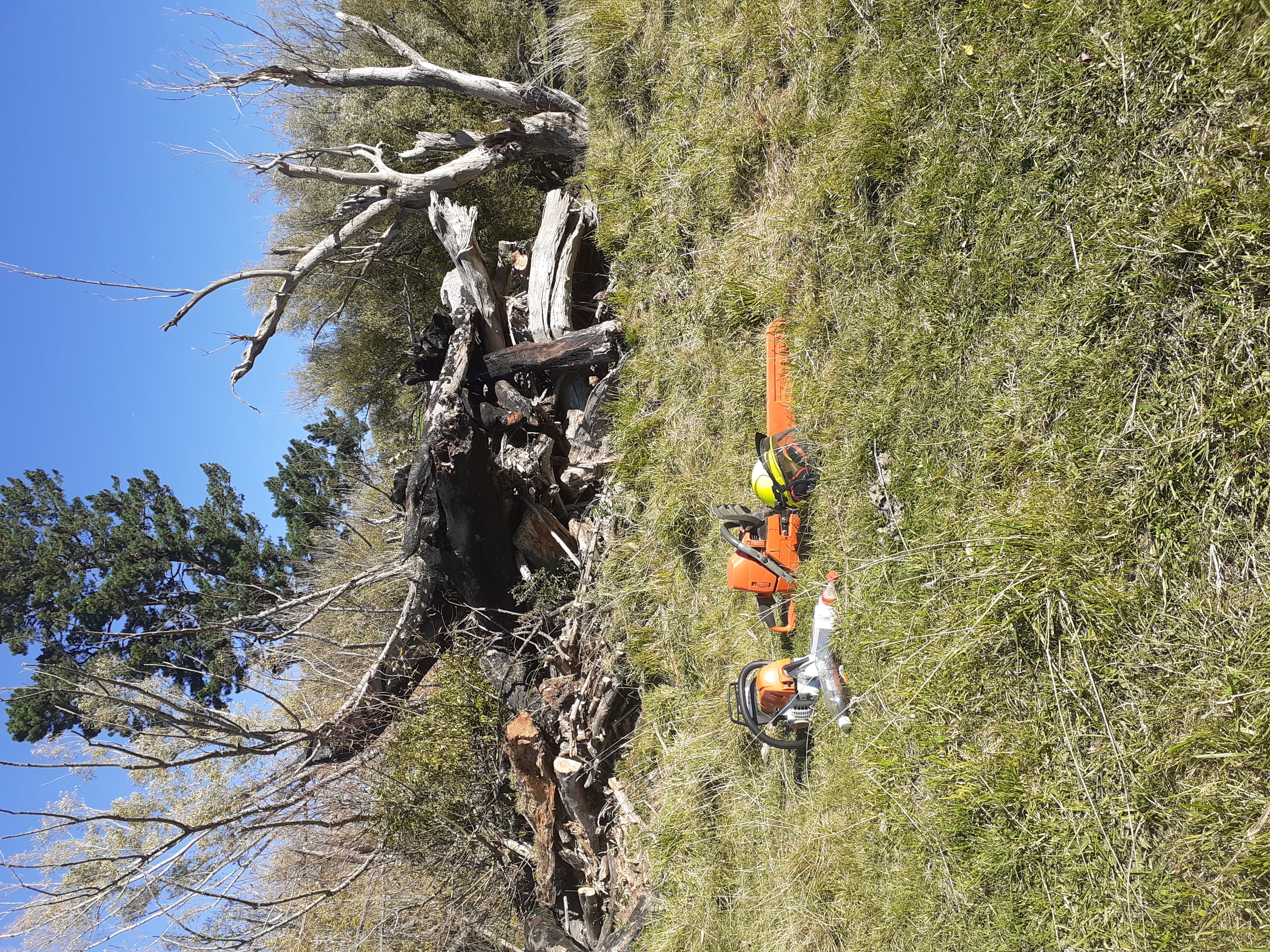 Name:  New wood pile..jpg
Views: 685
Size:  9.10 MB
