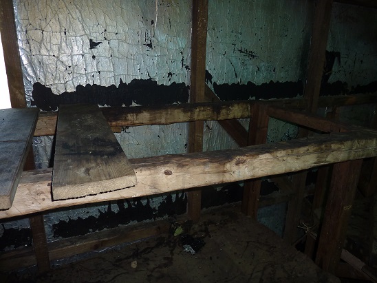 Name:  010e Aranga Hut. Ruahine's Jan 2018 .JPG
Views: 325
Size:  101.3 KB