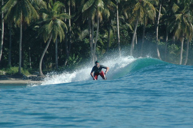 Name:  BengBeng 1.jpg
Views: 176
Size:  72.1 KB