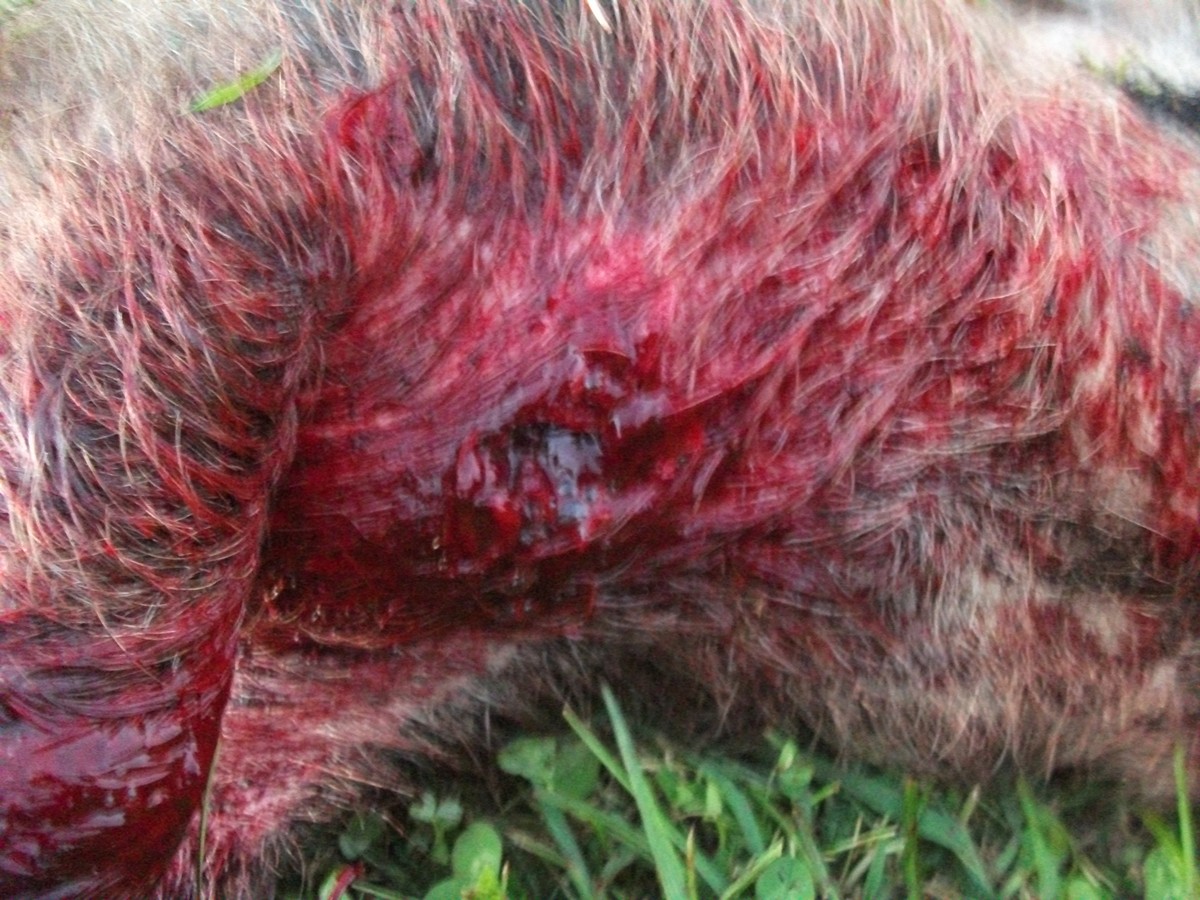 Name:  Picture 2 222.jpg
Views: 341
Size:  303.8 KB