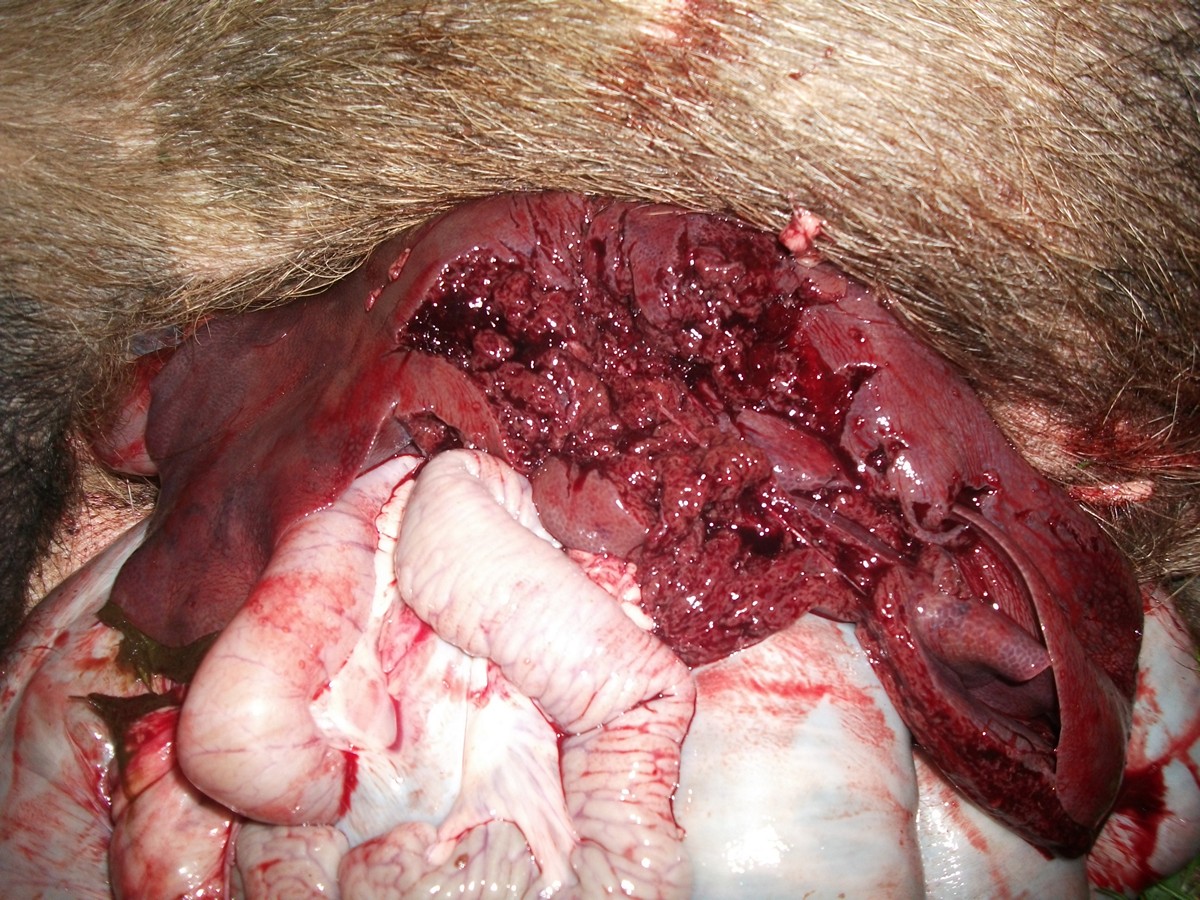 Name:  Picture 2 224.jpg
Views: 357
Size:  369.8 KB