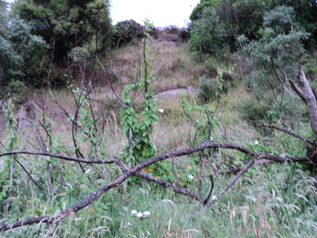 Name:  picture 843.jpg
Views: 448
Size:  164.0 KB