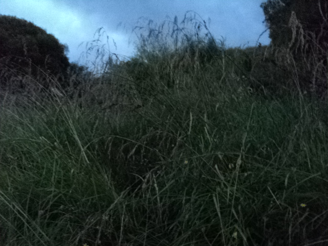 Name:  picture 845.jpg
Views: 441
Size:  164.4 KB