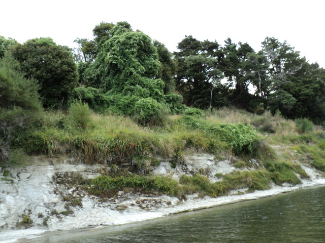 Name:  picture 945.jpg
Views: 227
Size:  164.2 KB