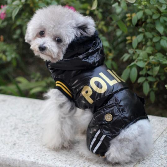 Name:  Poodle.jpg
Views: 858
Size:  38.8 KB