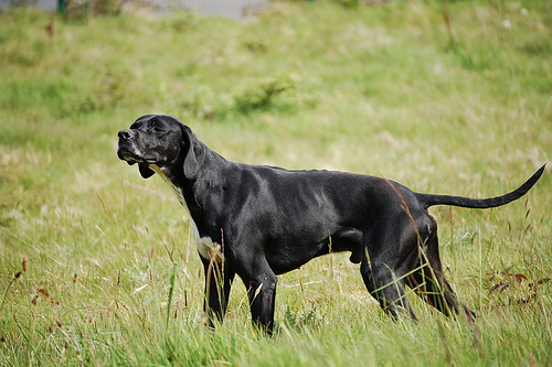 Name:  ballincoher barcley.jpg
Views: 237
Size:  124.7 KB
