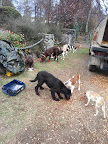 Name:  20121003_190045.jpg
Views: 291
Size:  13.8 KB