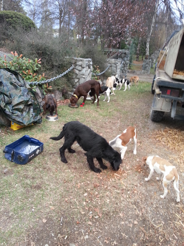 Name:  20121003_190045.jpg
Views: 751
Size:  216.2 KB