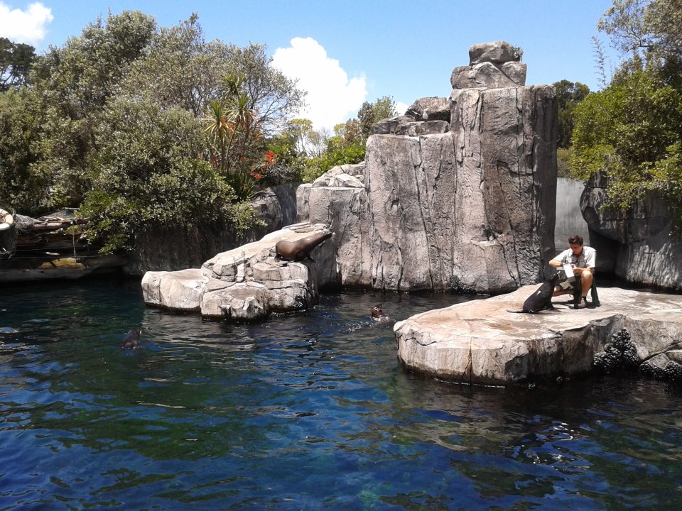 Name:  531772_573144149362843_429050654_n.jpg
Views: 215
Size:  209.9 KB
