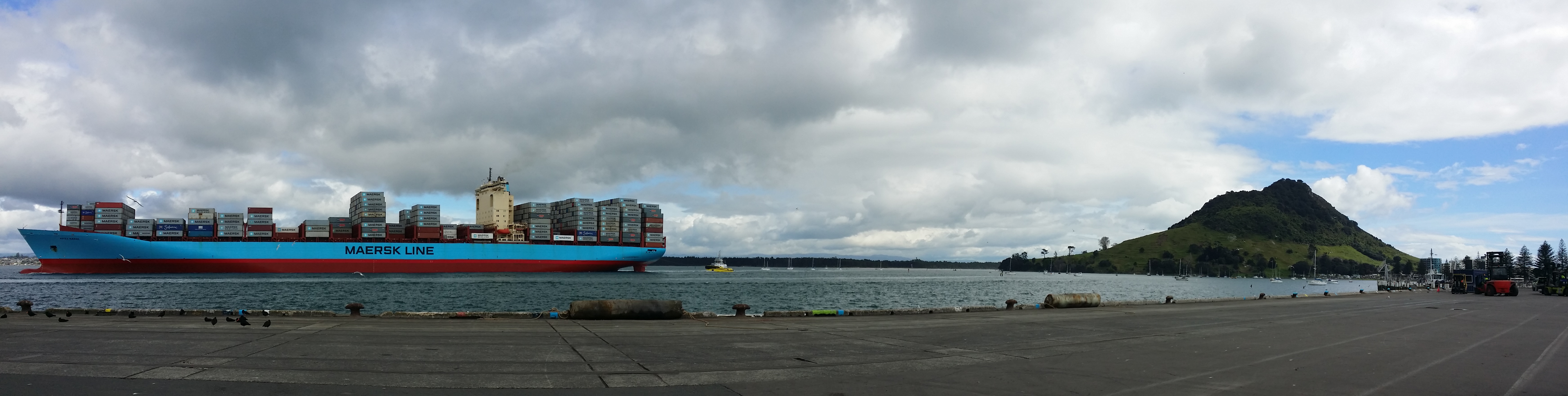 Name:  Mega Maersk.jpg
Views: 580
Size:  2.56 MB