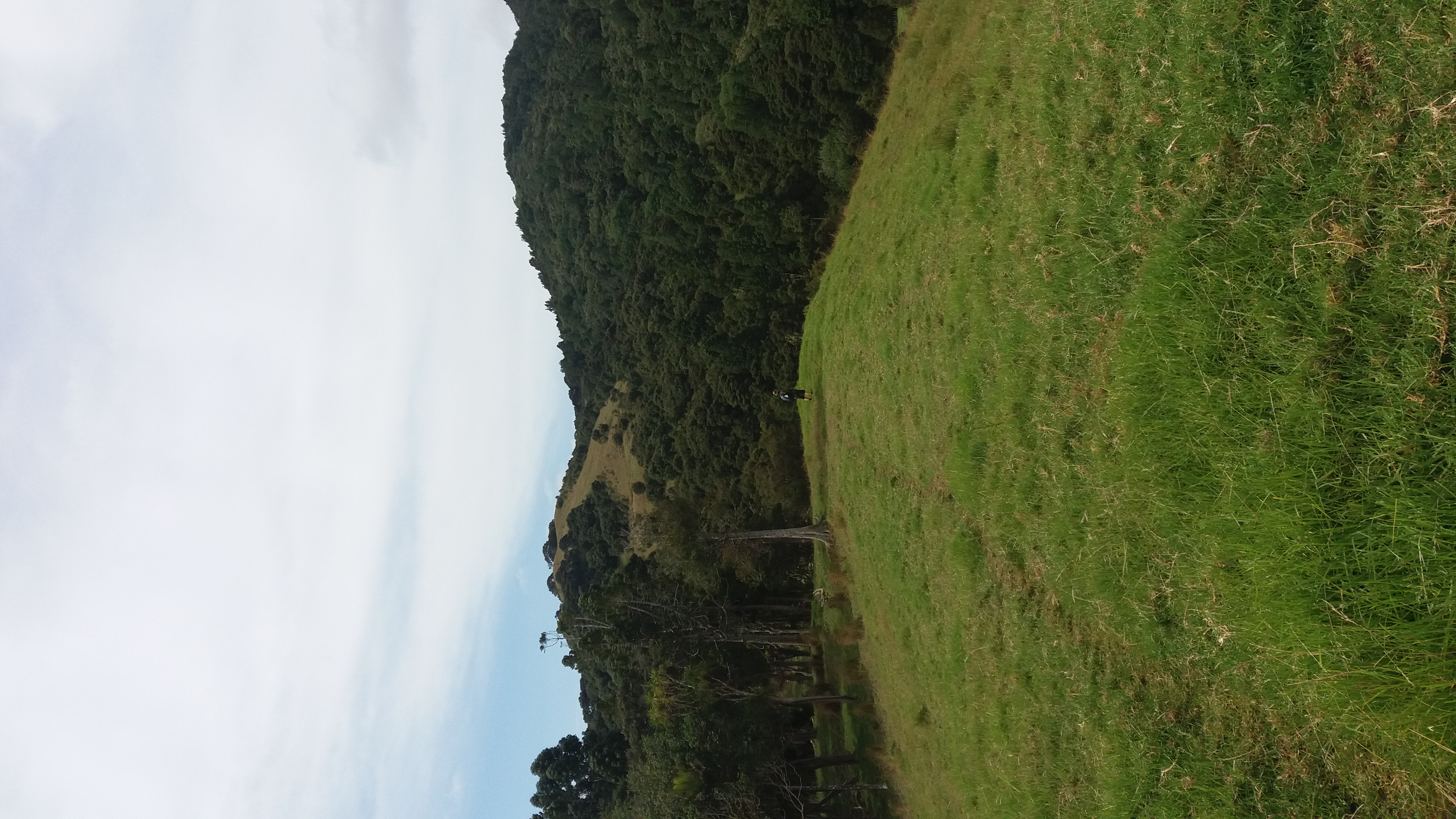 Name:  20180120_161843.jpg
Views: 393
Size:  3.20 MB