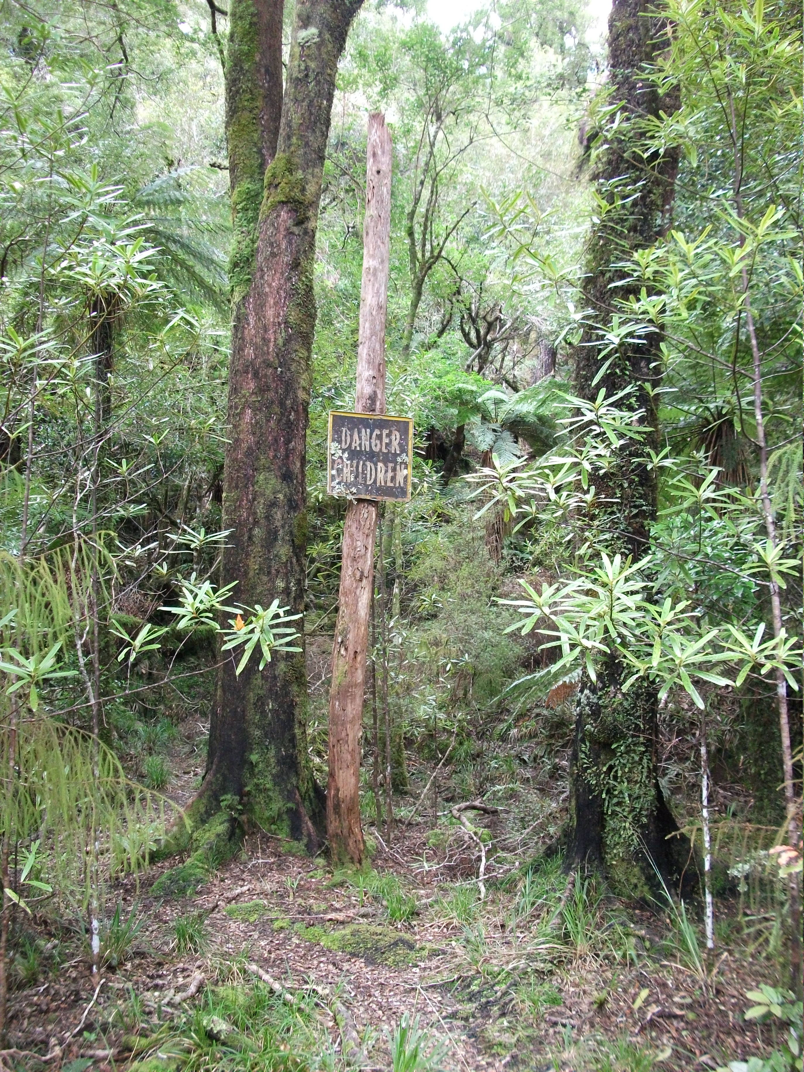 Name:  Tauherenikau Sep 2012 - 23 - Sign at Foot of Block XVI Track3.JPG
Views: 780
Size:  2.13 MB