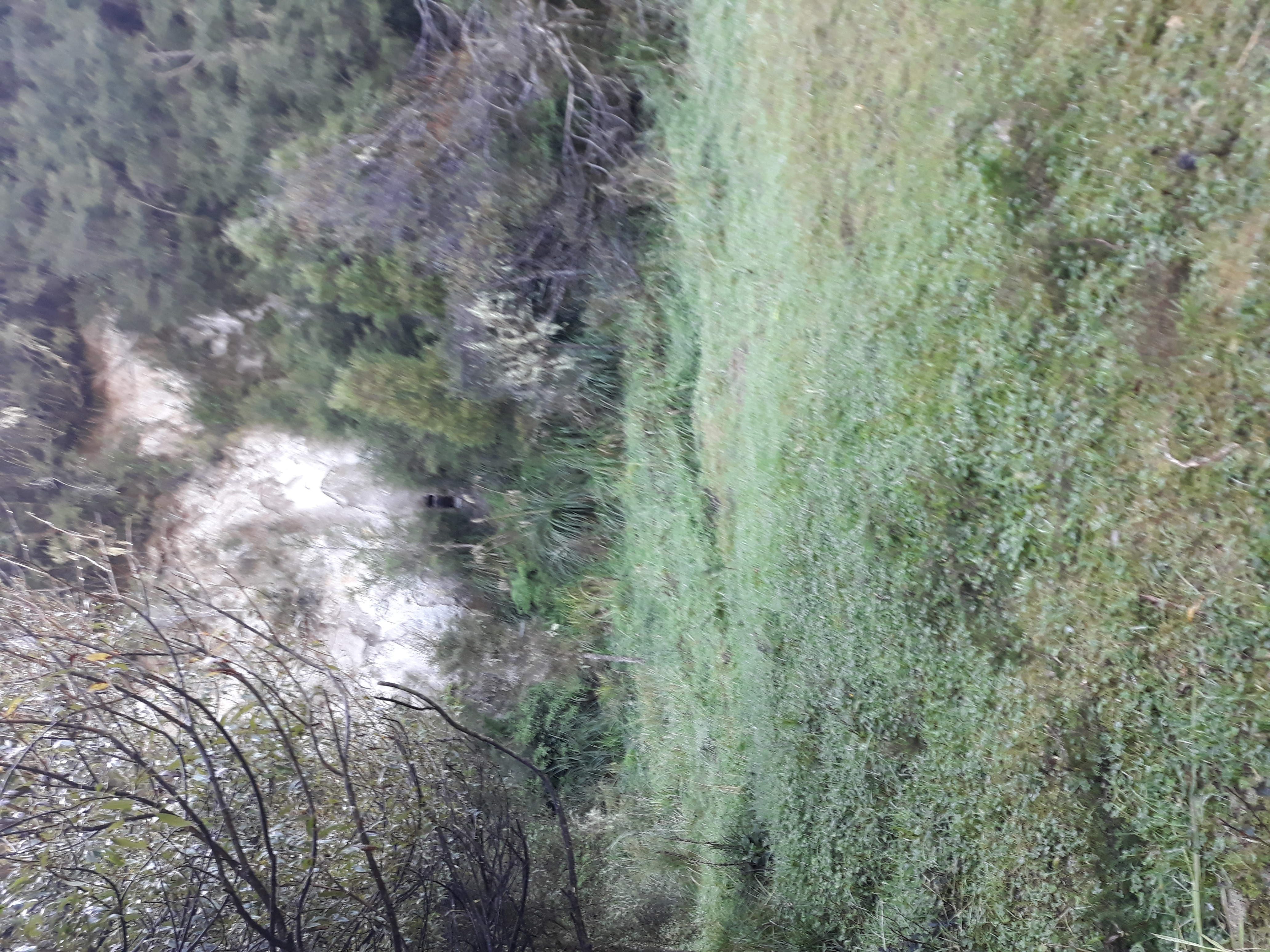 Name:  20180401_090503.jpg
Views: 717
Size:  5.82 MB