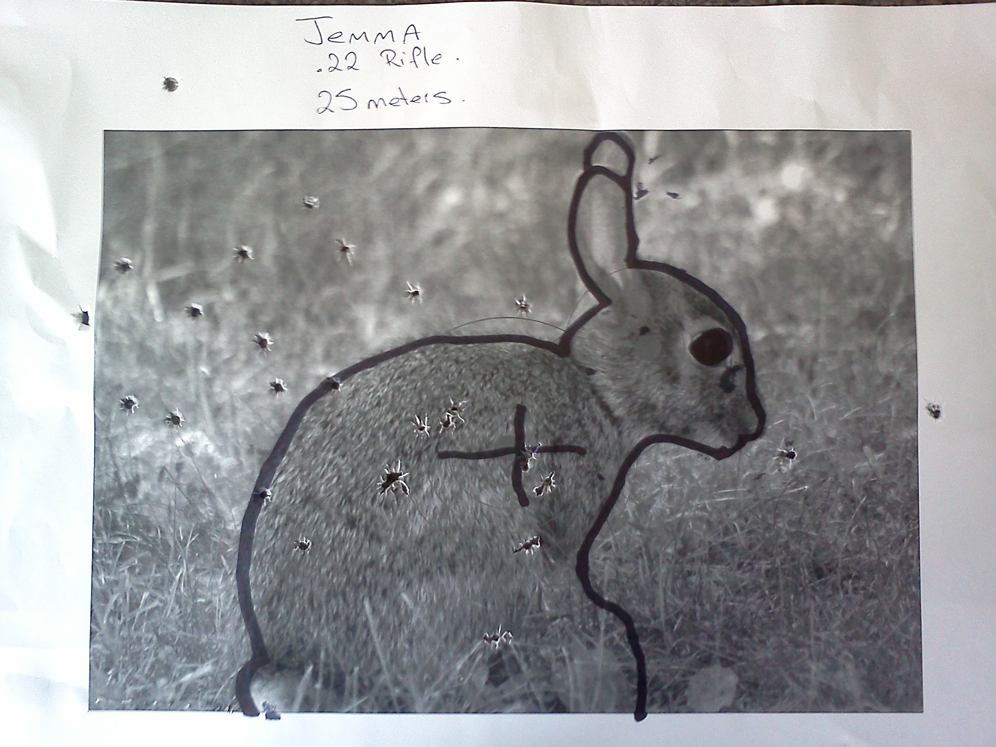 Name:  rabbit jemma 25m.jpg
Views: 2283
Size:  612.2 KB