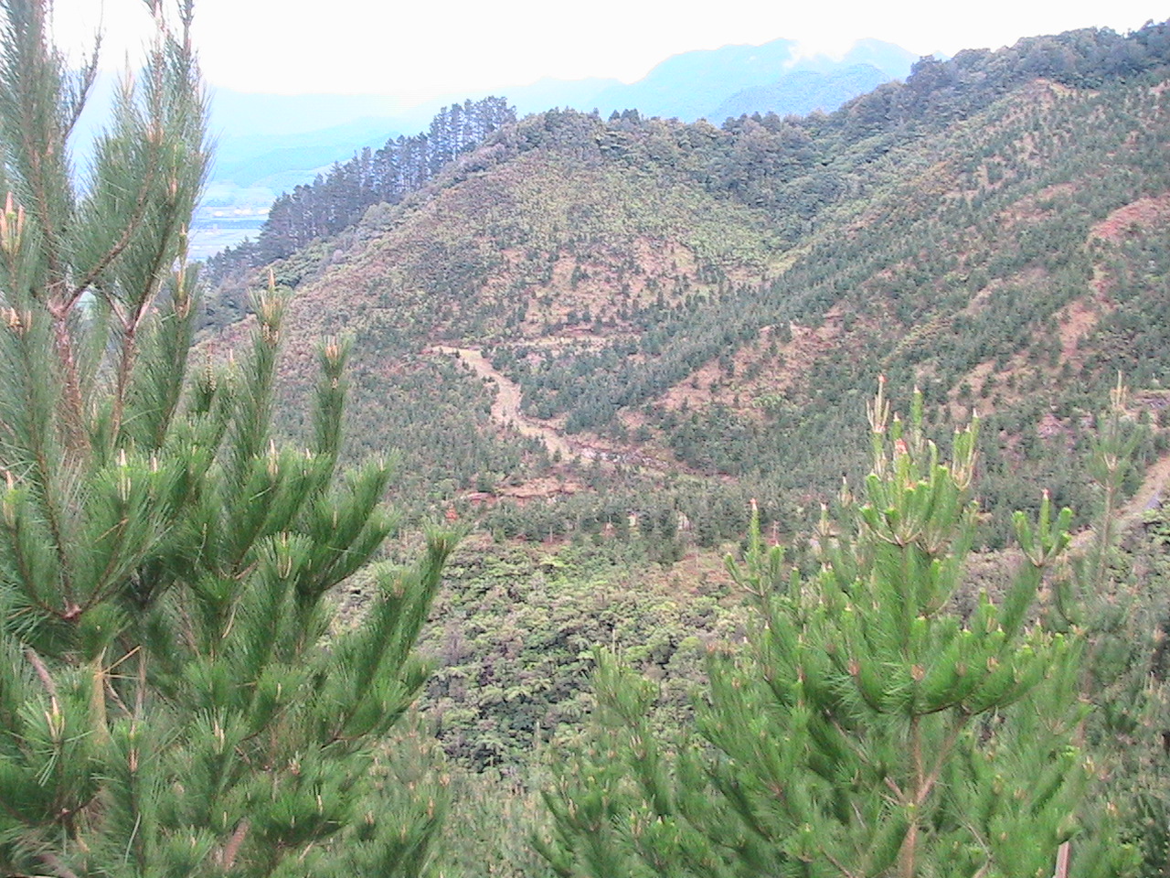 Name:  IMG_3105.JPG
Views: 577
Size:  550.2 KB