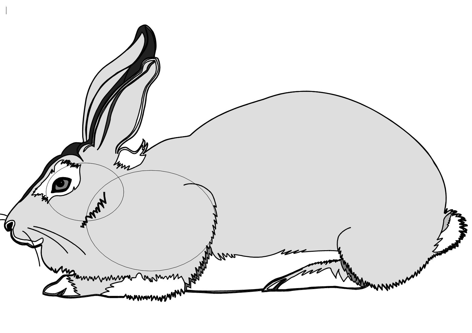 Name:  Rabbit Target.JPG
Views: 1054
Size:  116.2 KB