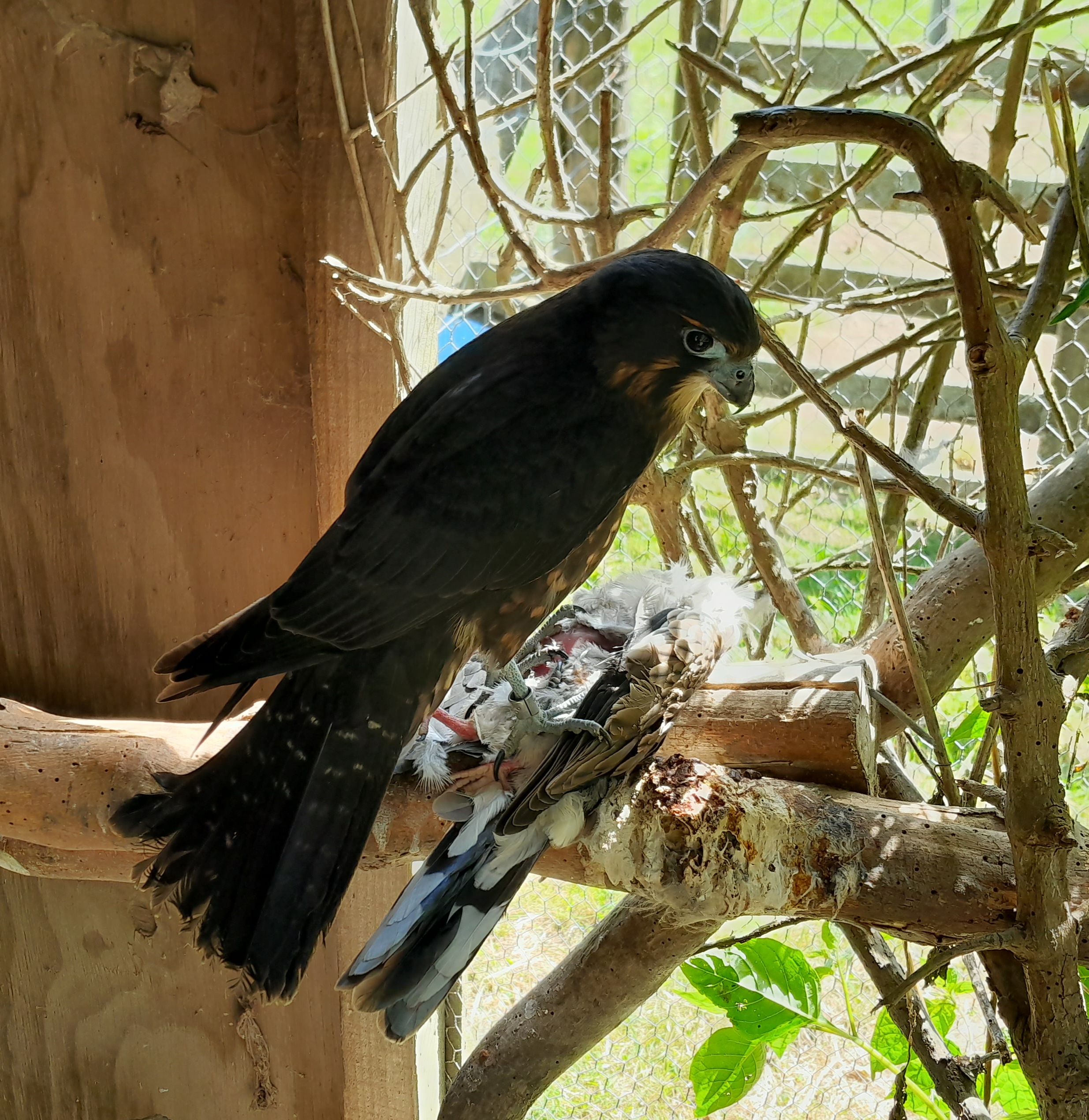 Name:  20220302_115650.jpg
Views: 382
Size:  1.62 MB
