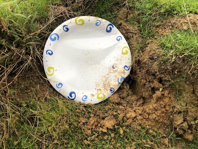 Name:  Paper plate 245m 640px.jpg
Views: 460
Size:  228.1 KB