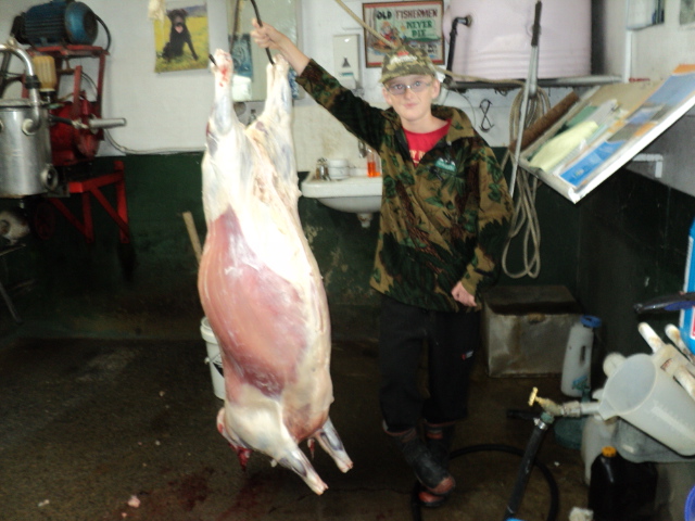 Name:  picture 3205.jpg
Views: 243
Size:  163.5 KB