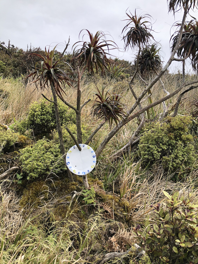 Name:  141m paper plate 640.jpeg
Views: 353
Size:  1.05 MB