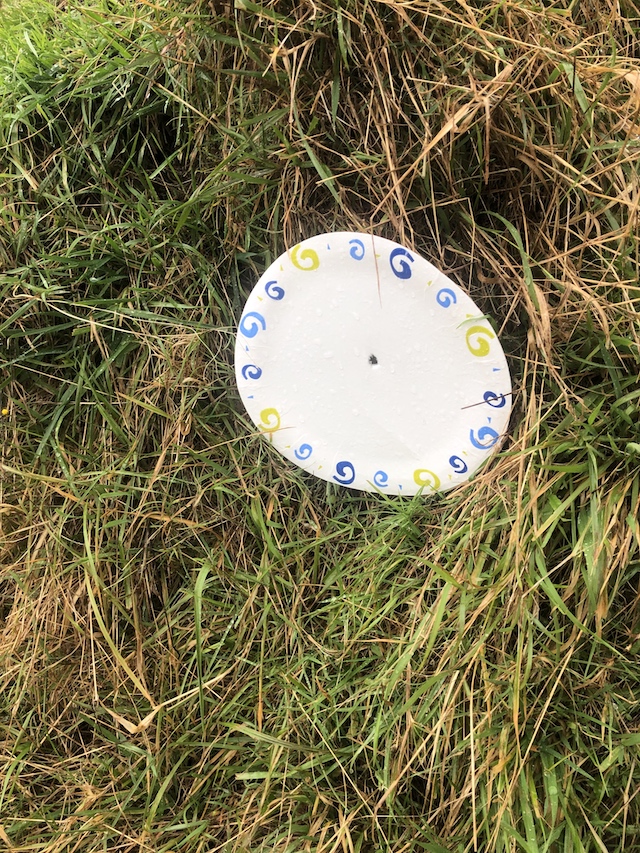 Name:  Paper Plate 203m prone daypack 640.jpeg
Views: 376
Size:  489.7 KB