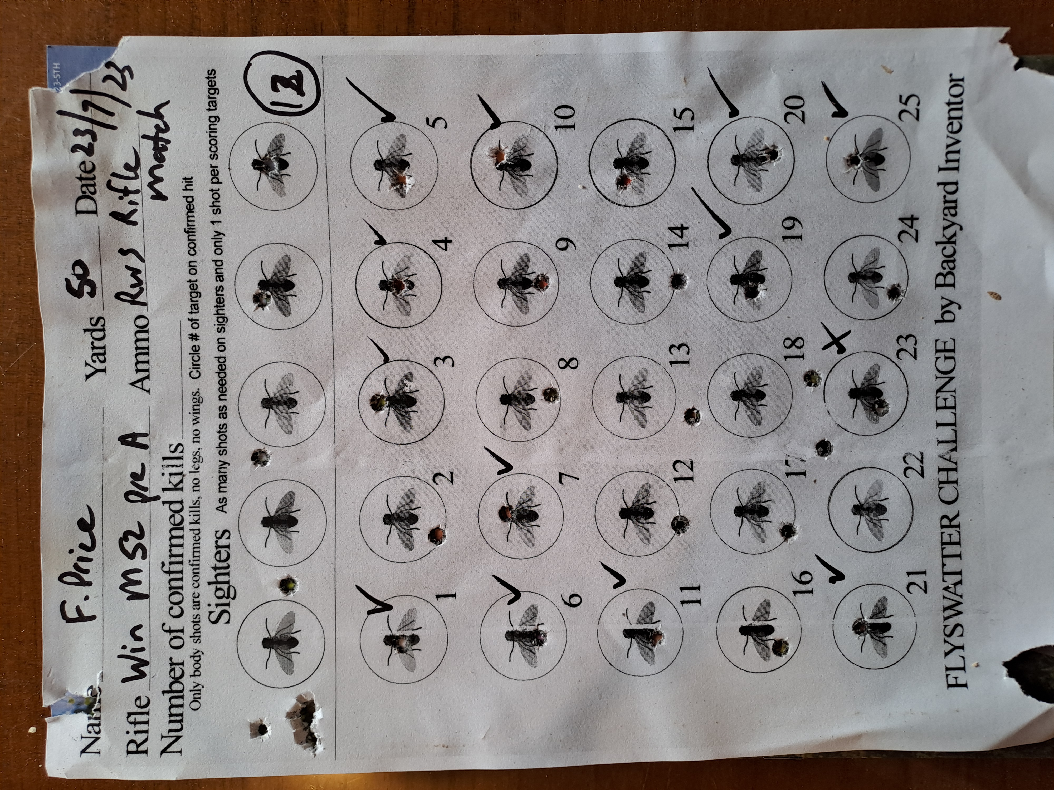 Fly discount swatter target