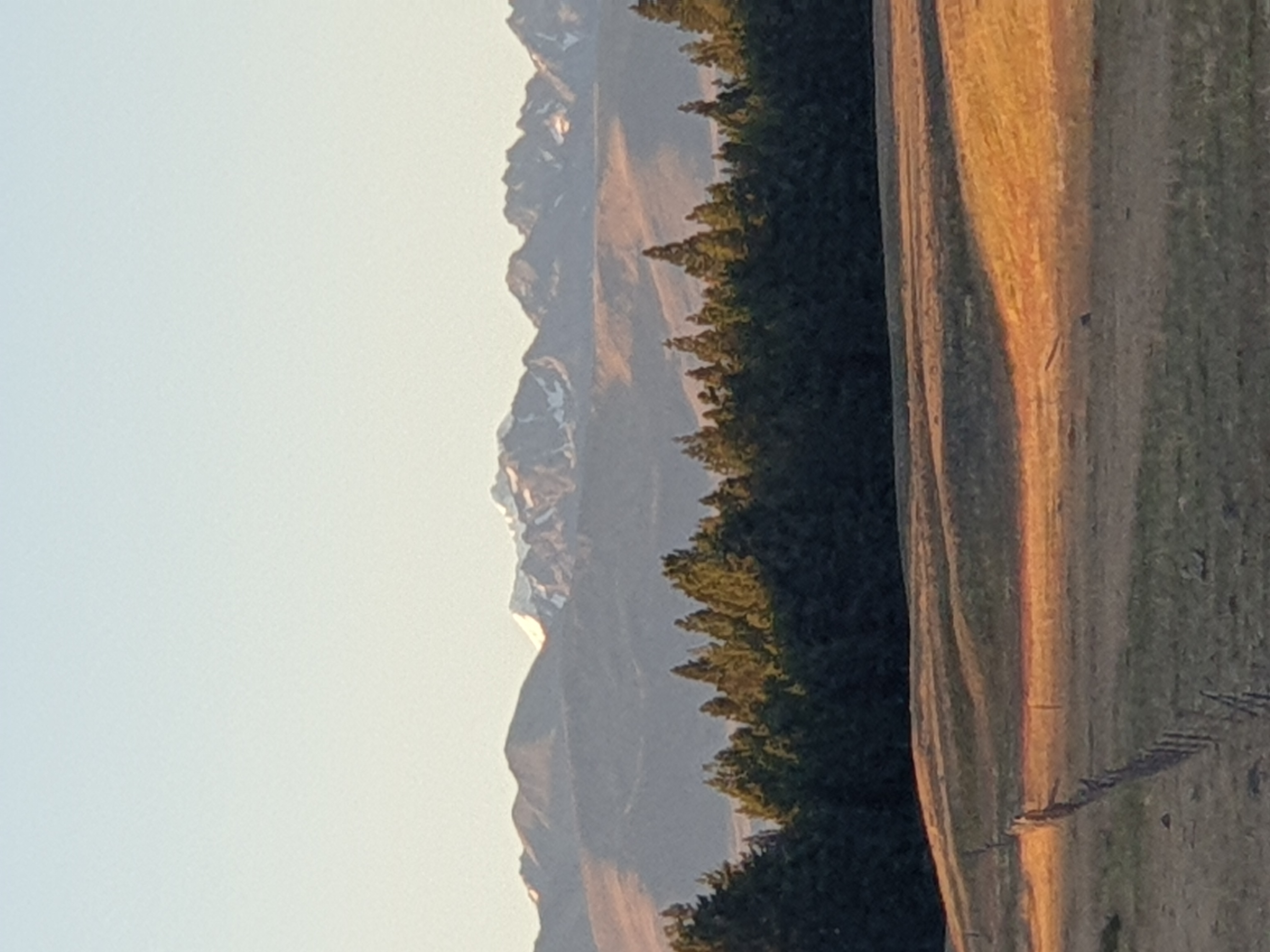 Name:  20250112_210215.jpg
Views: 85
Size:  1.45 MB