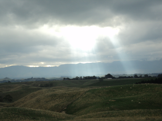 Name:  picture 5475.jpg
Views: 337
Size:  153.2 KB