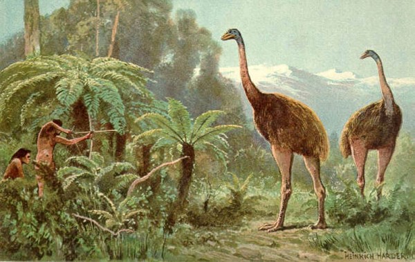 Name:  sn-moa.jpg
Views: 285
Size:  82.1 KB