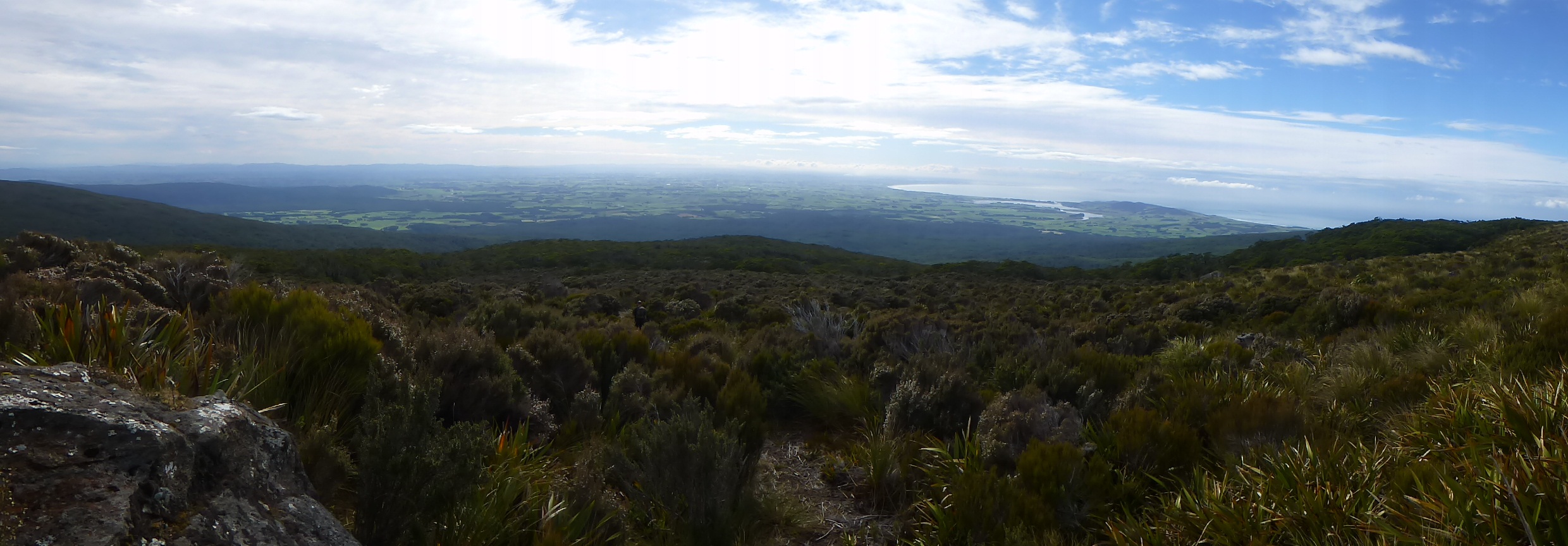 Name:  Longswoods_Tops-Riverton.jpg
Views: 619
Size:  574.9 KB