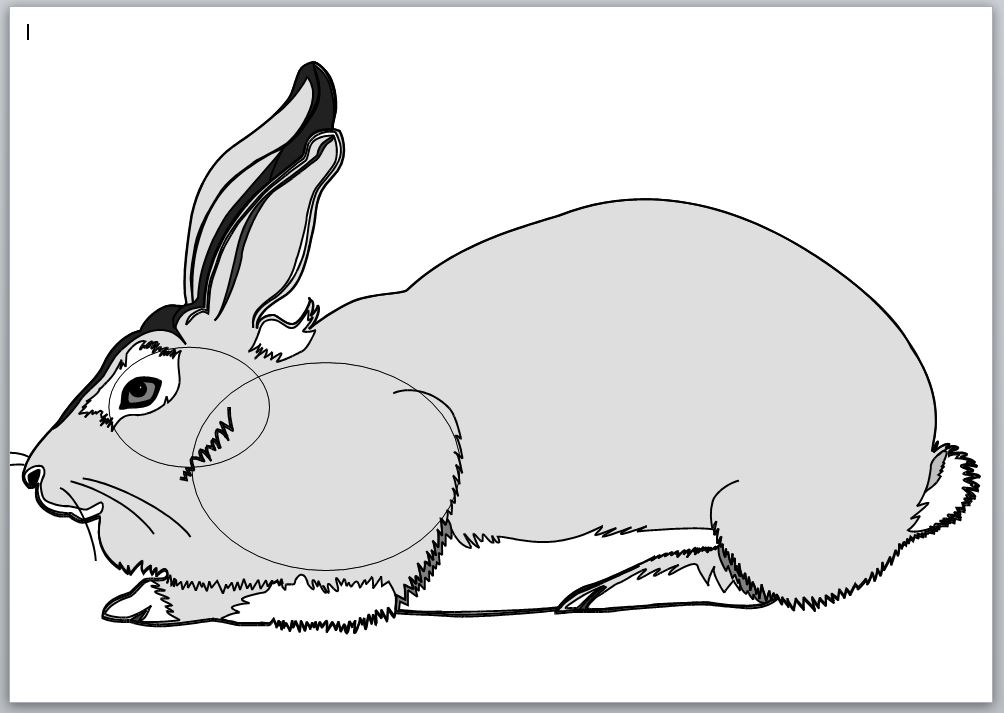 Name:  Rabbit.JPG
Views: 6664
Size:  68.4 KB