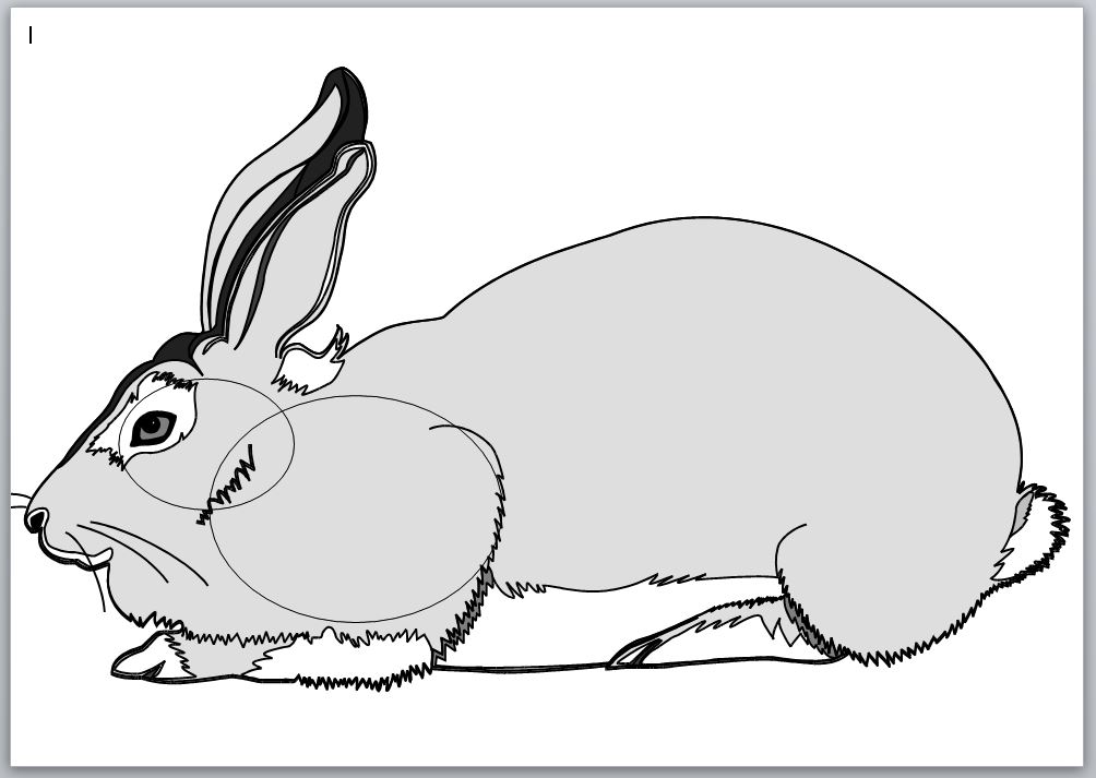 Name:  Rabbit.JPG
Views: 6807
Size:  68.4 KB