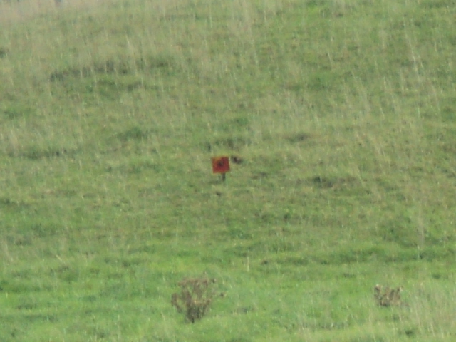Name:  picture 8341.jpg
Views: 251
Size:  165.2 KB