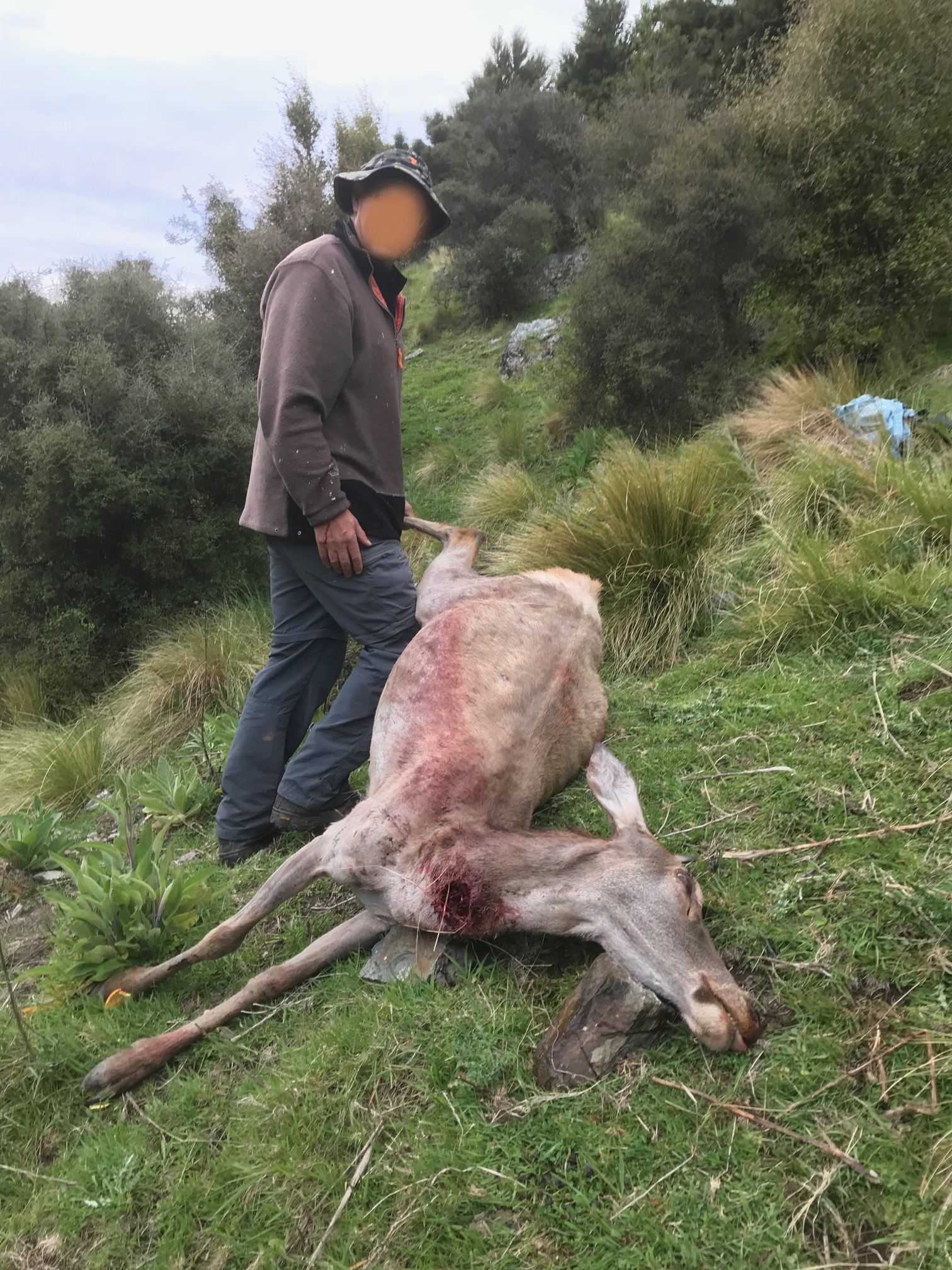 Name:  Bruisers 400m deer - Copy.jpg
Views: 592
Size:  981.0 KB