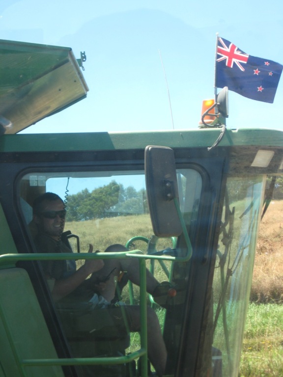 Name:  Tasmania Harvest 09 (49).JPG
Views: 586
Size:  101.3 KB